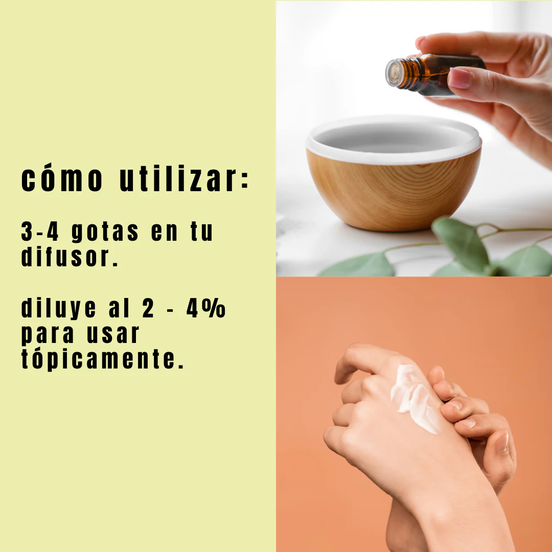 Aceite de Árbol de Té - Simple As - Image 4
