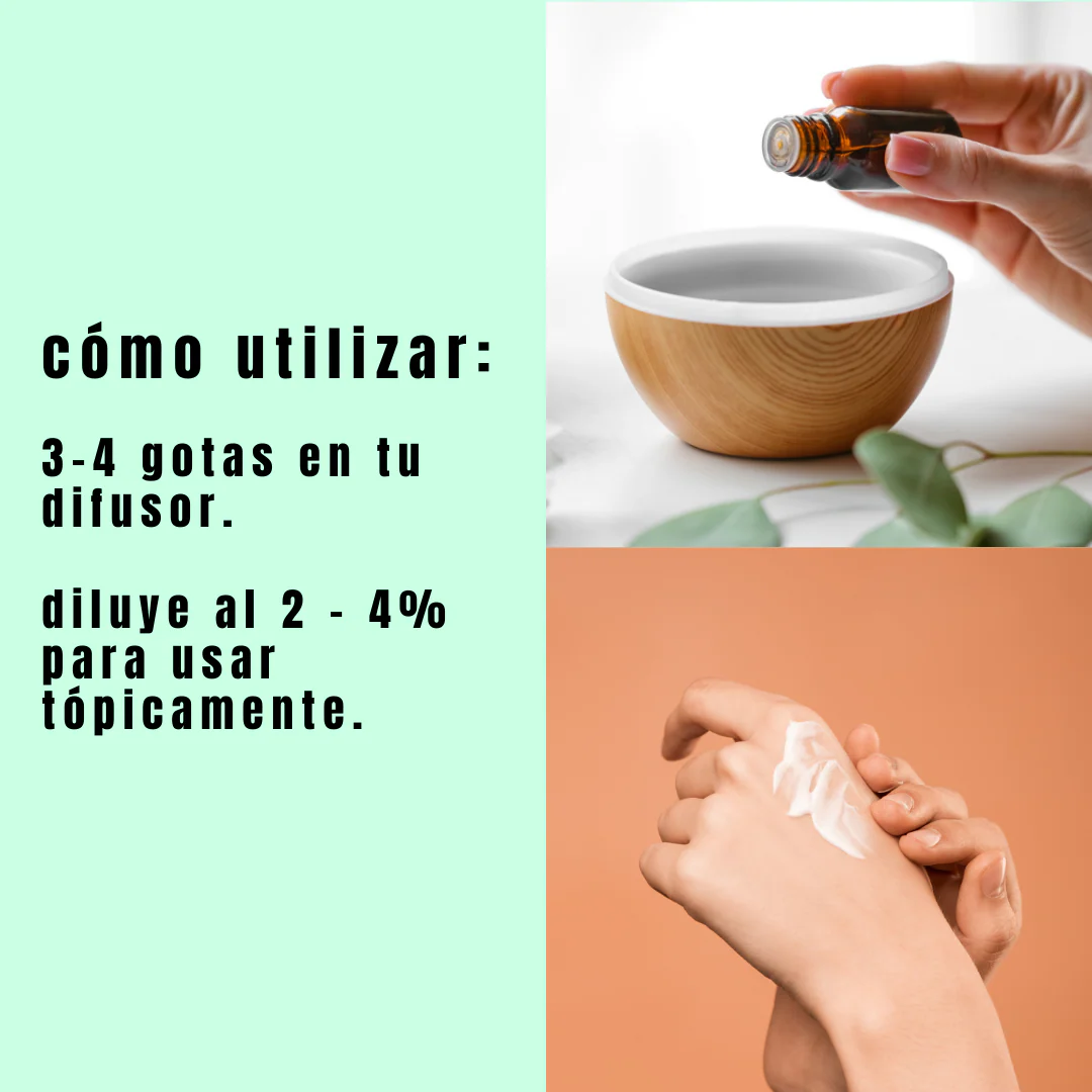 Aceite de Eucalipto - Simple As - Image 3