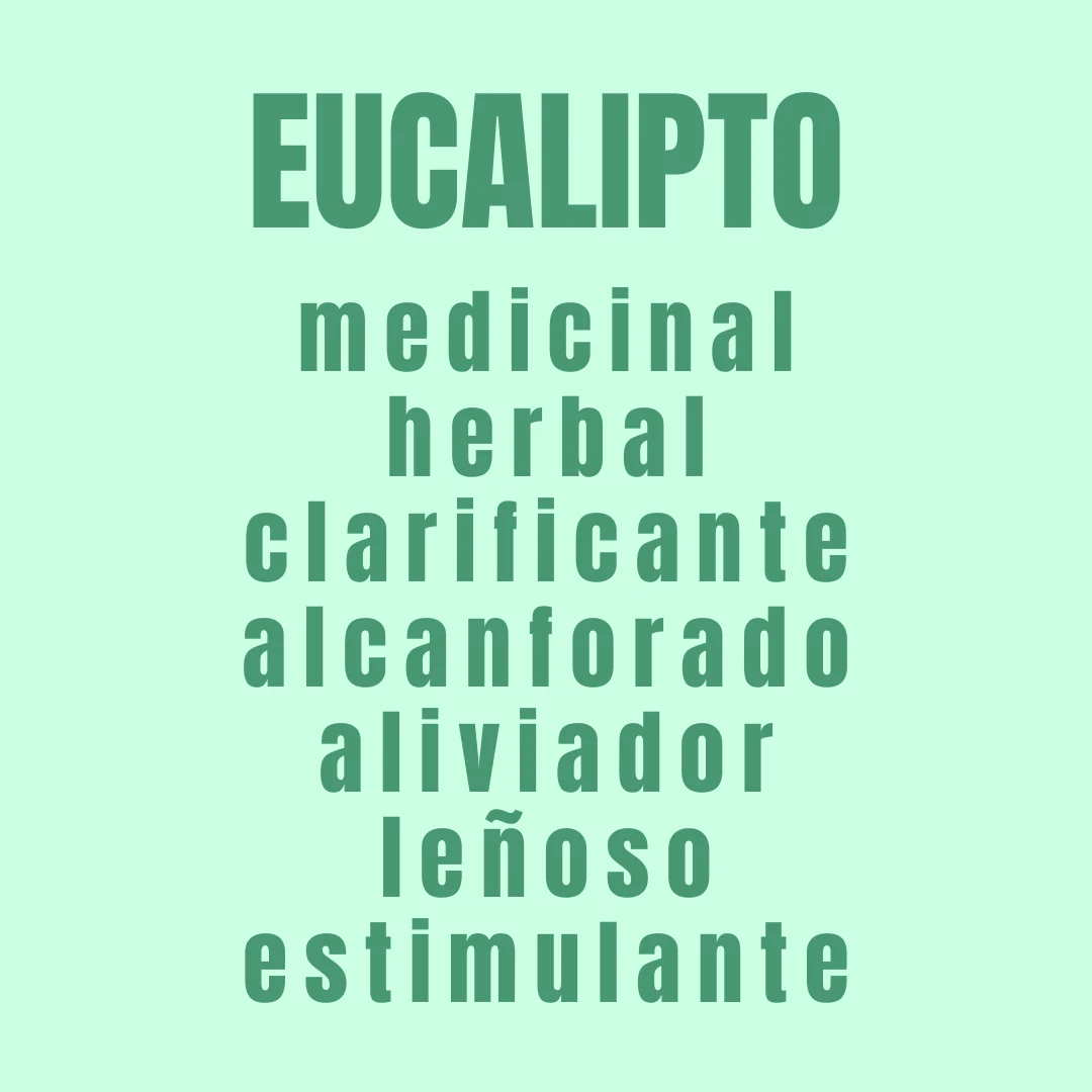 Aceite de Eucalipto - Simple As - Image 4