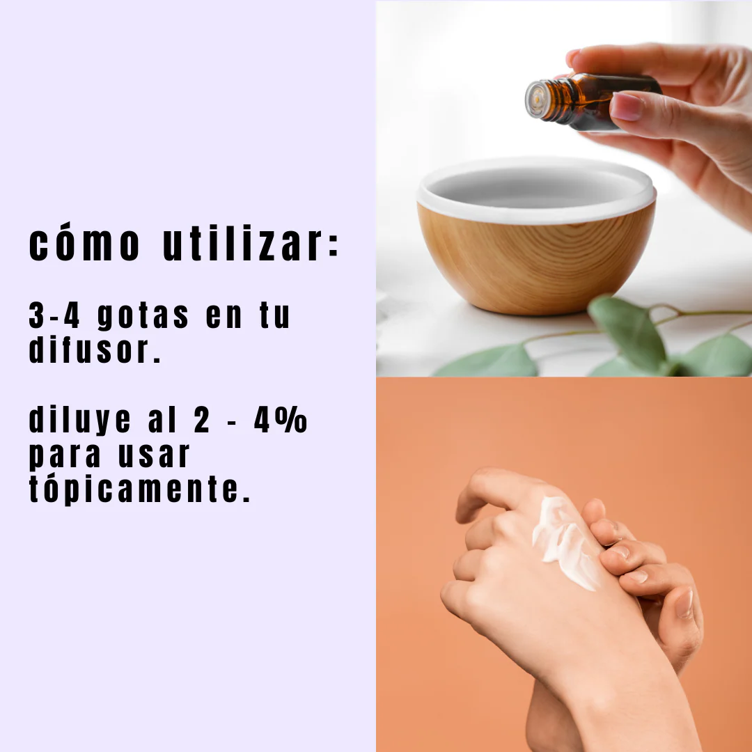 Aceite de Lavanda - Simple As - Image 4