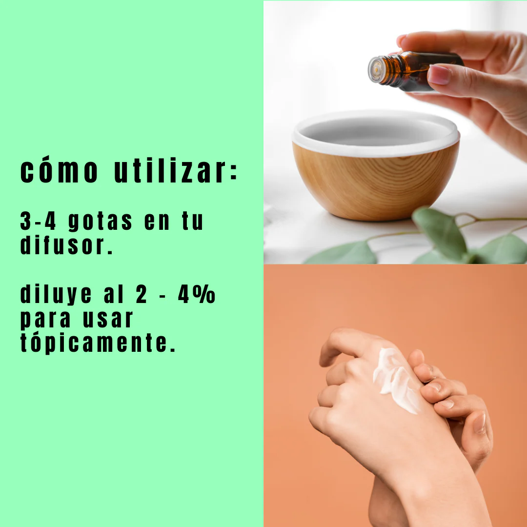 Aceite de Menta - Simple As - Image 3