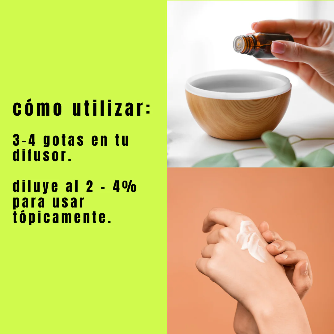 Aceite de Romero - Simple As - Image 4