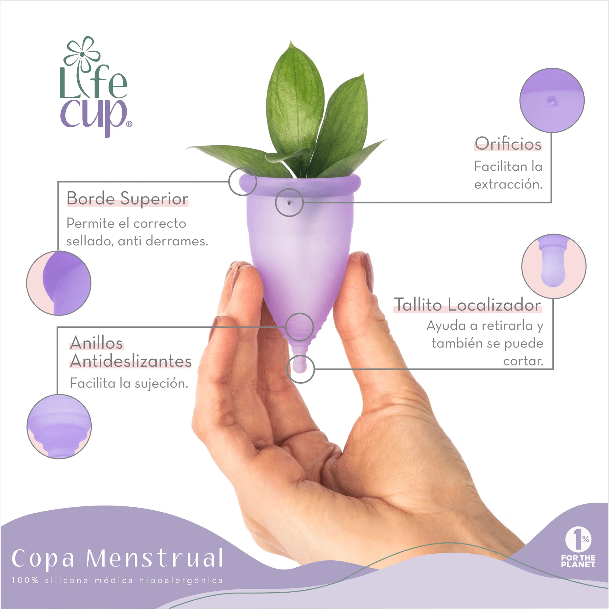 Copa Menstrual - Life Cup - Image 5