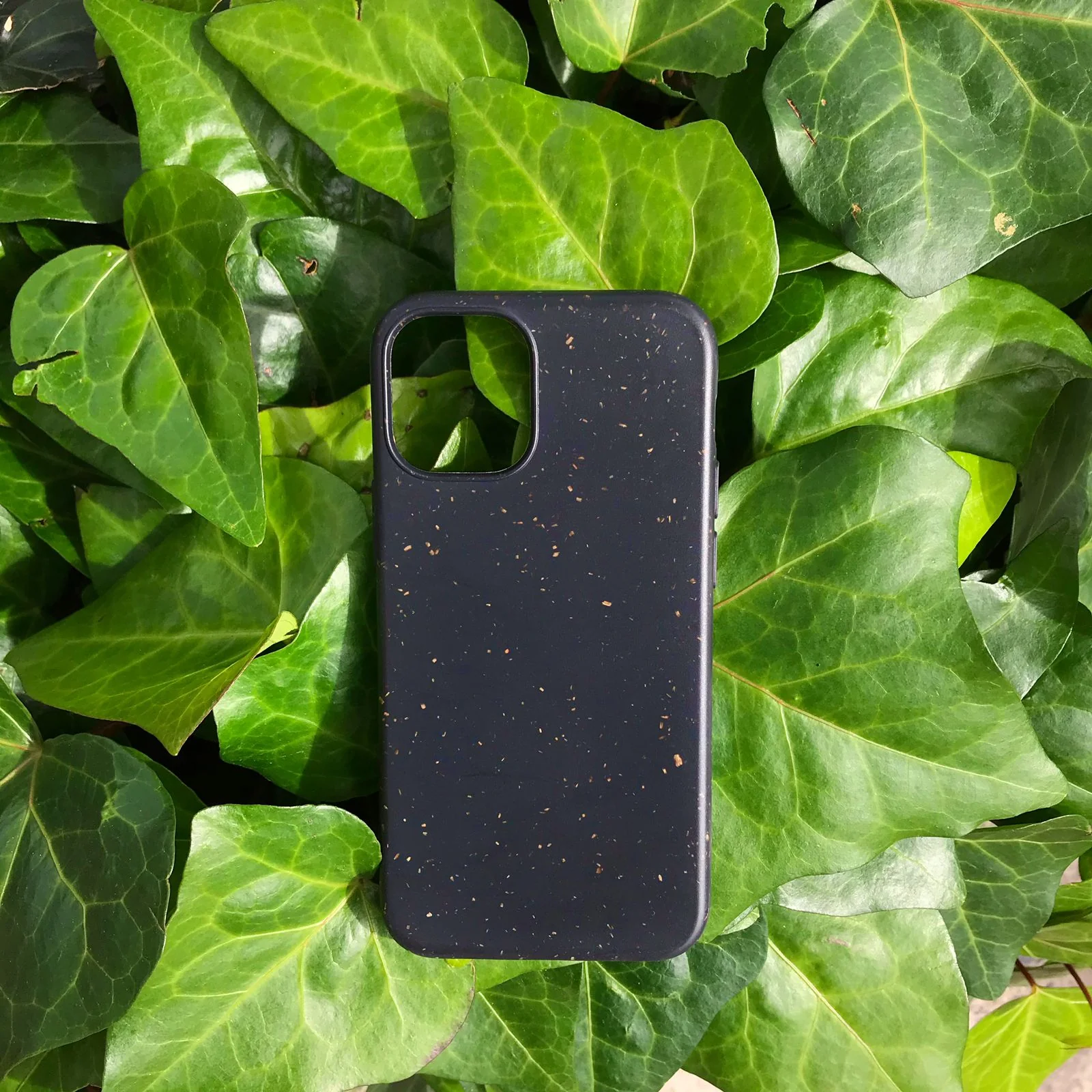 Forros para Celular - Biodegradables - Image 4