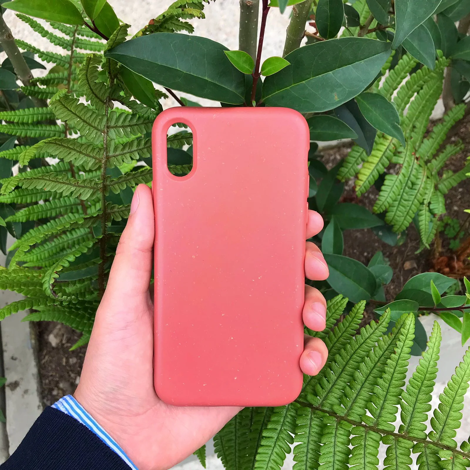 Forros para Celular - Biodegradables - Image 6